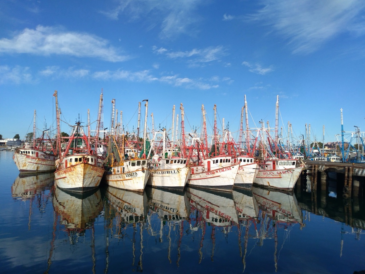Shrimp boats moored in the fishing port, mirrored in still water